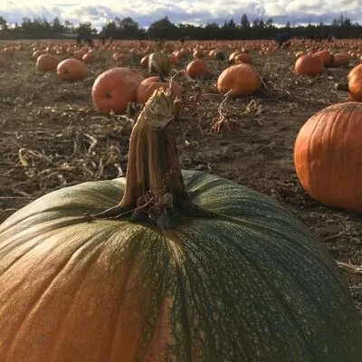 Smith Rock State Park, Bend, OR